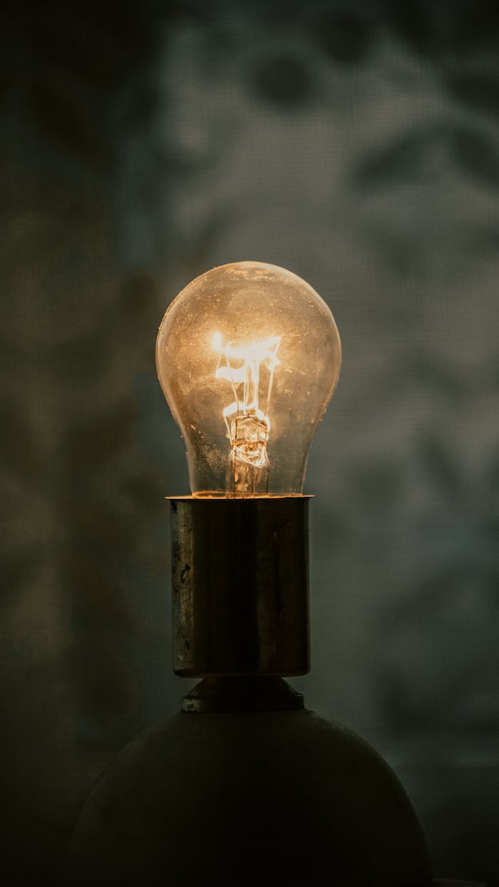 services-02 A close-up of a glowing light bulb with a warm ambiance against a blurred background.